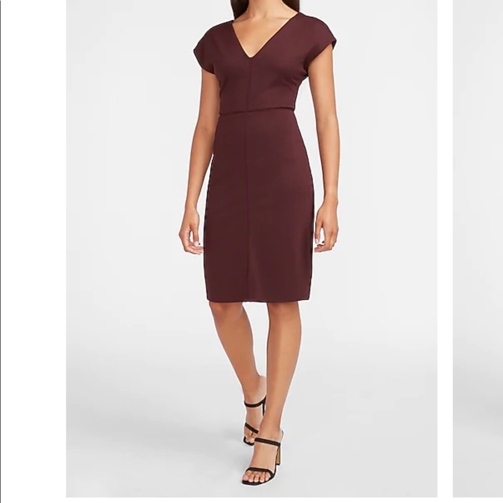 Express Seamed V-Neck Sheath Dress